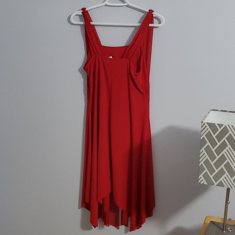 Dress - Picture 3 of 4